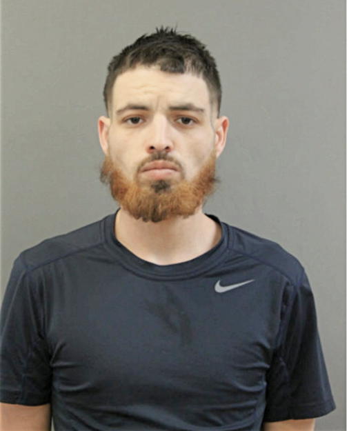 CARLOS J MORALES, Cook County, Illinois