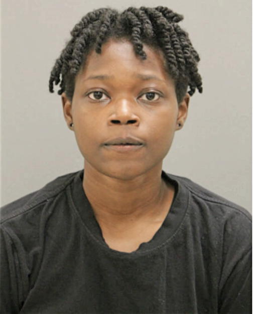 ERIN M PRYOR-HENDERSON, Cook County, Illinois