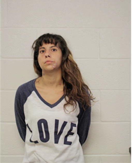 VANESSA R RAMON, Cook County, Illinois