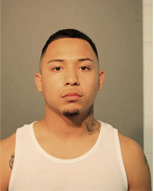 RUBEN F SAPAULA, Cook County, Illinois