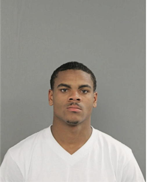 LARON J STANTON, Cook County, Illinois