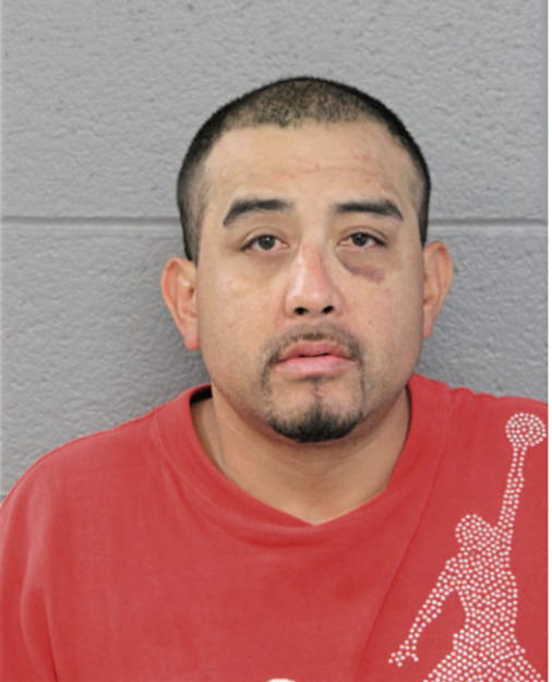 ARMANDO VEGA, Cook County, Illinois