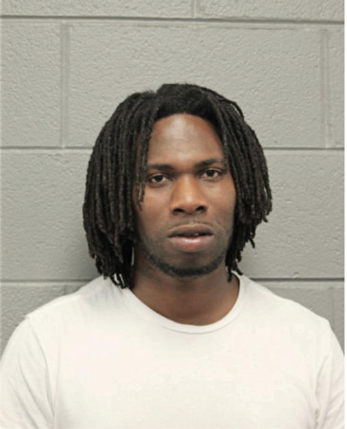 CHARLES T WATKINS, Cook County, Illinois