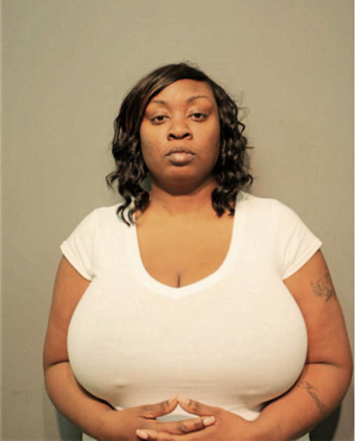 KAMIKA R WATKINS, Cook County, Illinois