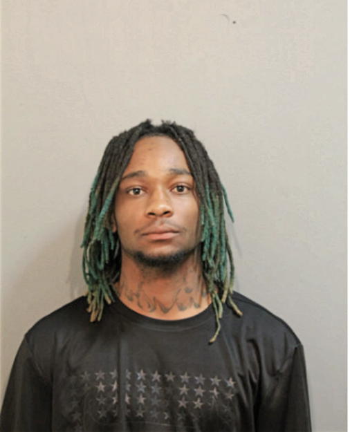 HOWARD E WILLIAMS, Cook County, Illinois