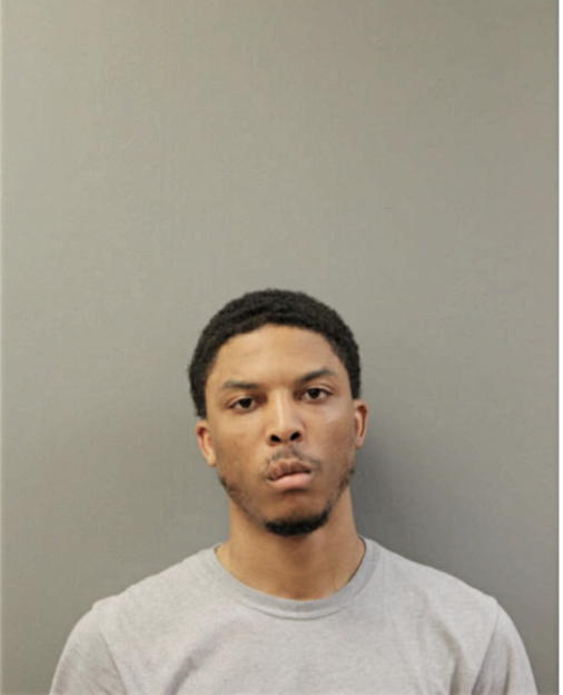BRIAN J ANDERSON, Cook County, Illinois