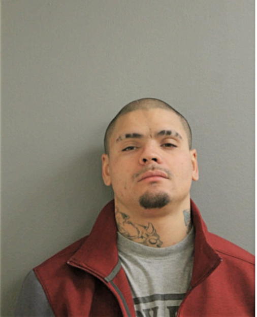 JORGE L APONTE, Cook County, Illinois