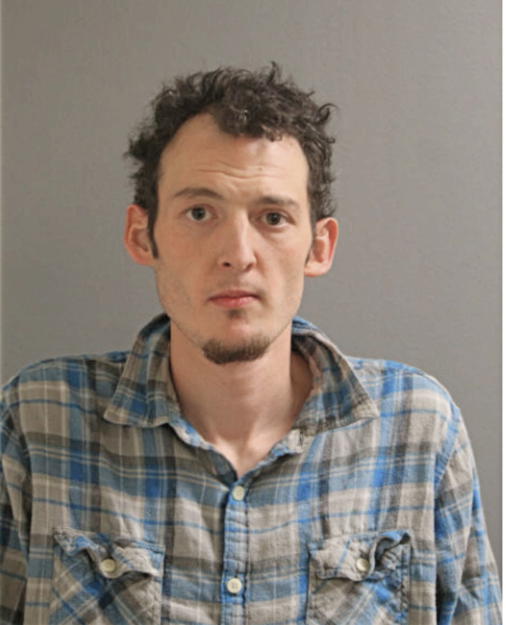MICHAEL J CHESNUL, Cook County, Illinois