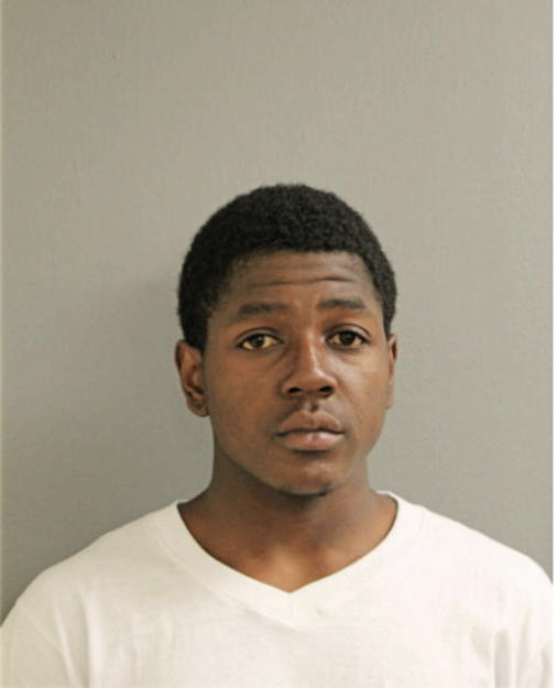 DANIEL J CHISM, Cook County, Illinois