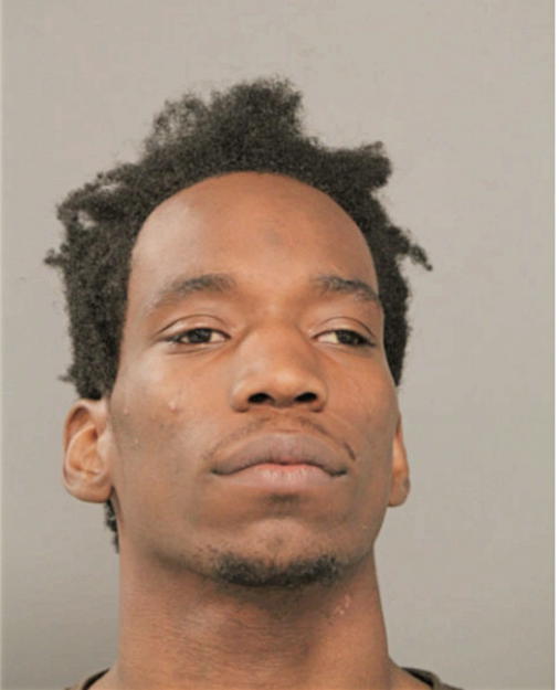 DAKOTA J HOLT, Cook County, Illinois