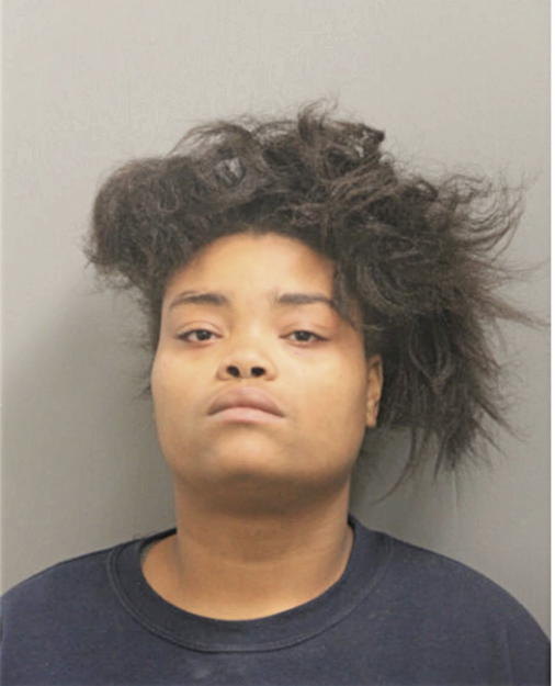 JANEE C JOHNSON, Cook County, Illinois