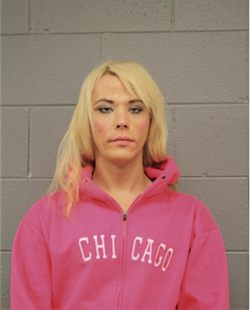 MICHAEL E JONES, Cook County, Illinois