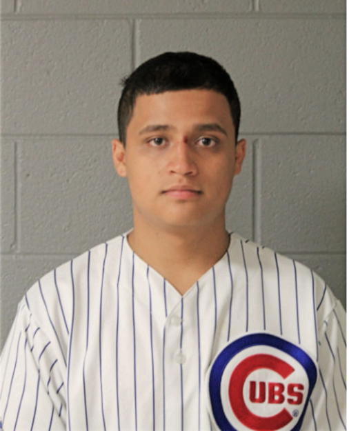 JUAN C JUAREZ, Cook County, Illinois
