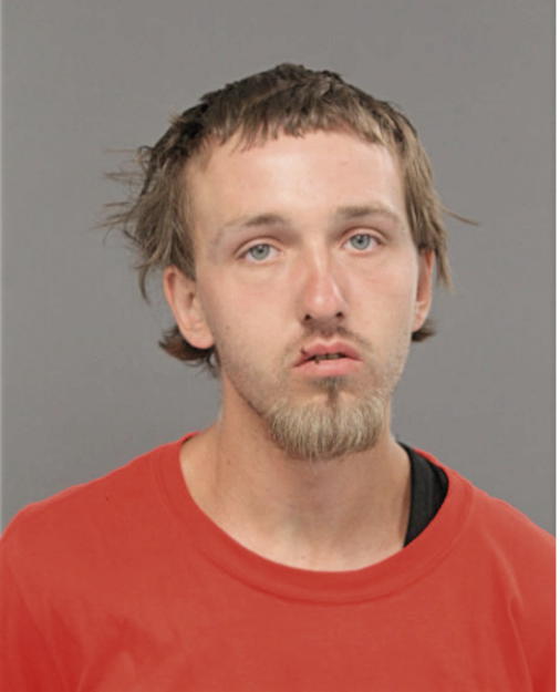 STEVEN A LEESON, Cook County, Illinois