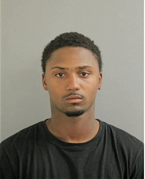 DERRICK T LOGAN, Cook County, Illinois