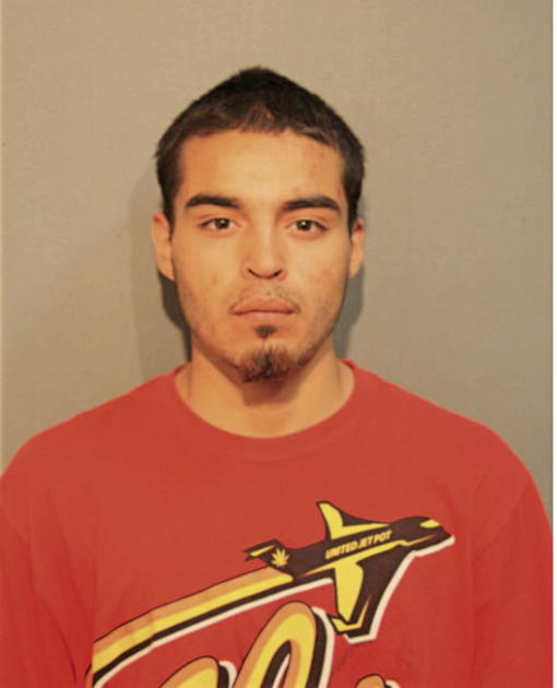 NIKO LUCIO MARES, Cook County, Illinois