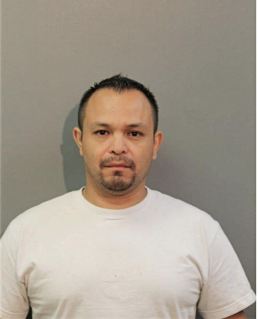 EDVIN MEJICANOS, Cook County, Illinois
