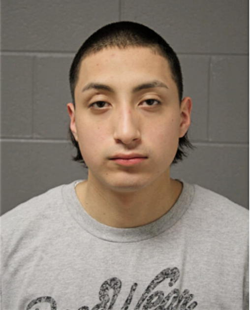 ALEJANDRO ORTIZ, Cook County, Illinois