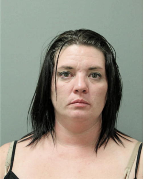 DANIELLE M PETERSON, Cook County, Illinois