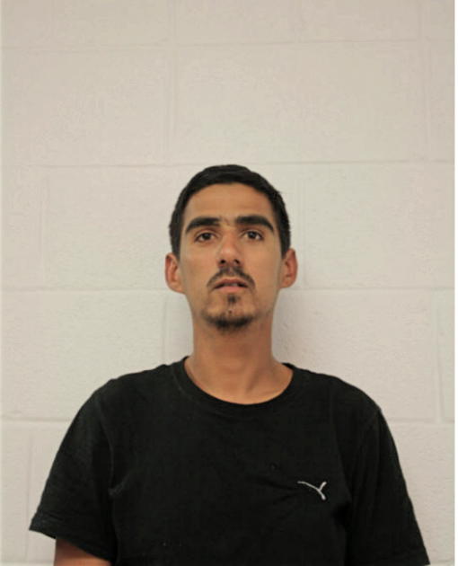 MAGDIEL PORTAL, Cook County, Illinois