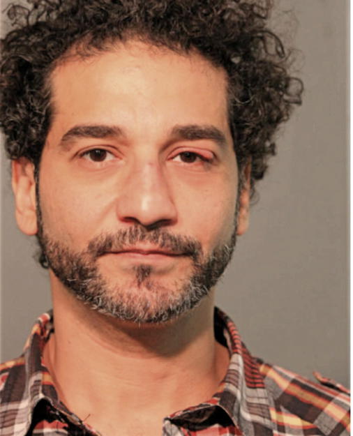 SHADI M RAMLI, Cook County, Illinois
