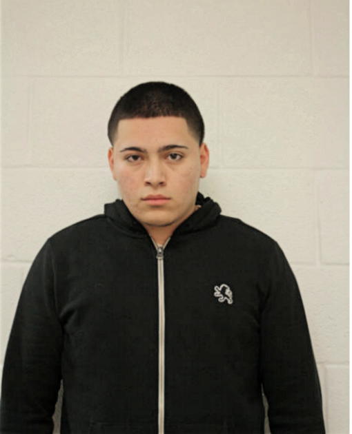 MICHAEL V REYES, Cook County, Illinois