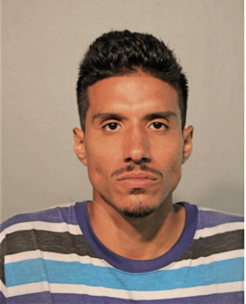 ATHONY L RIVERA, Cook County, Illinois