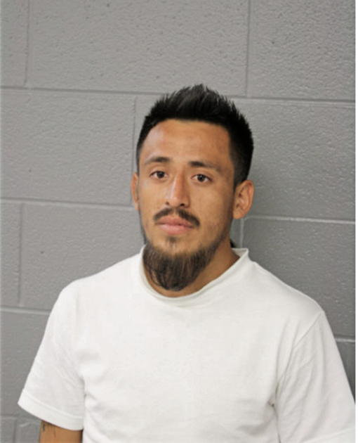 ALEJANDRO SANCHEZ, Cook County, Illinois