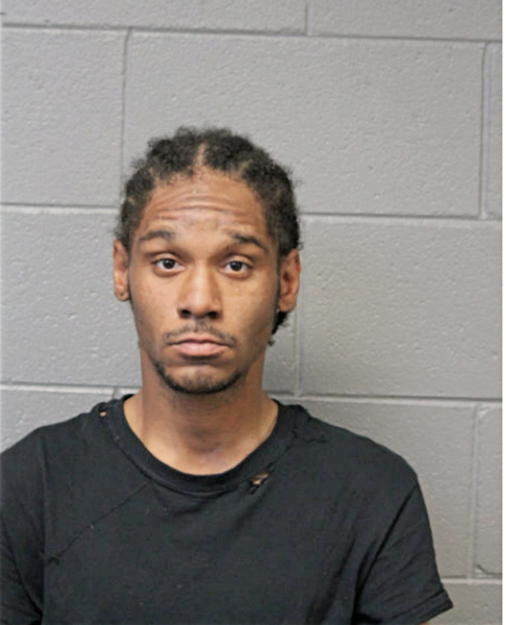 TYRONE L STRICKLAND, Cook County, Illinois