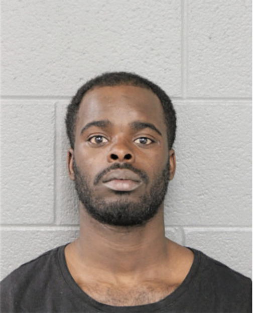 ADONIS T YOUNG, Cook County, Illinois