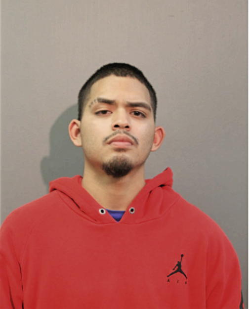CARLOS R ALEGRIA, Cook County, Illinois
