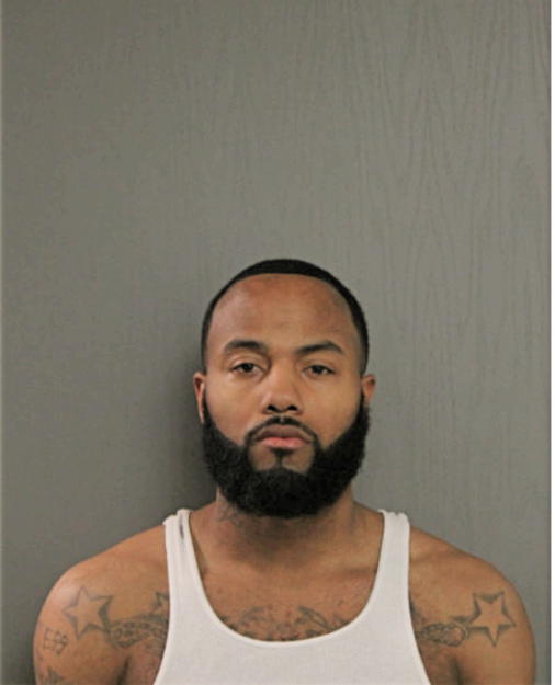 AARON K BADIE, Cook County, Illinois