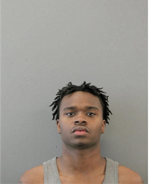 ROMAINE L BIBBINS, Cook County, Illinois