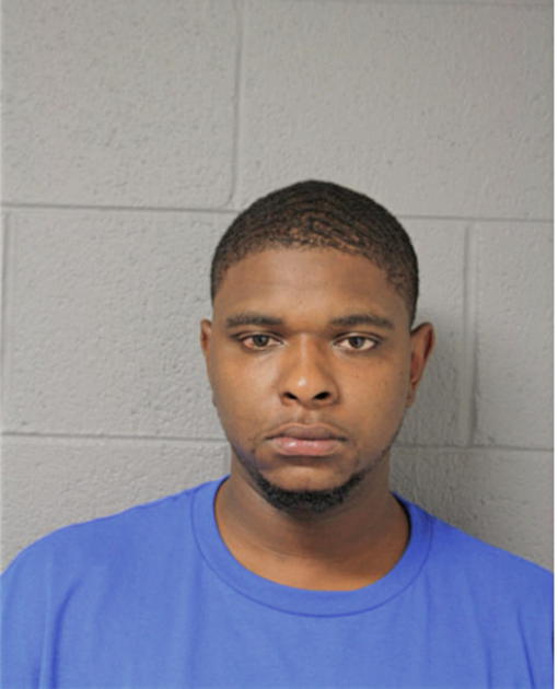 STEVEN E BRADLEY, Cook County, Illinois