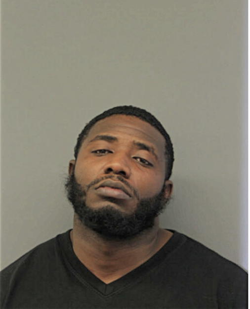 ROBERT L COLEMAN, Cook County, Illinois
