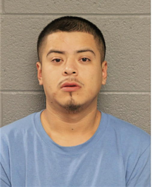 HUGO FLORES, Cook County, Illinois