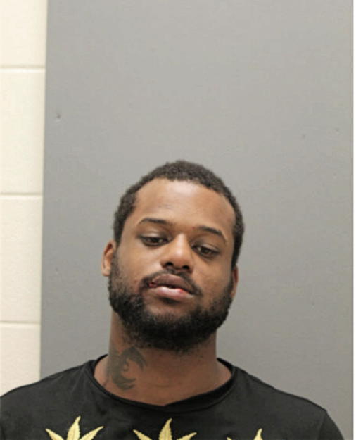 ARIC L FULTON, Cook County, Illinois