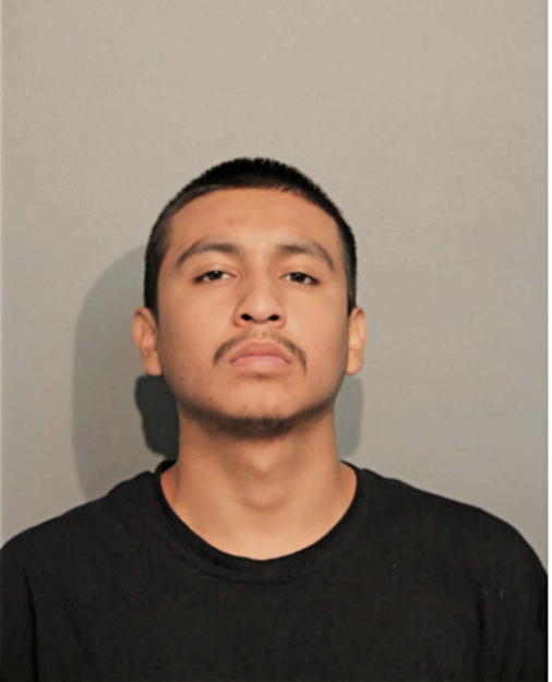 JESUS GONZALEZ, Cook County, Illinois