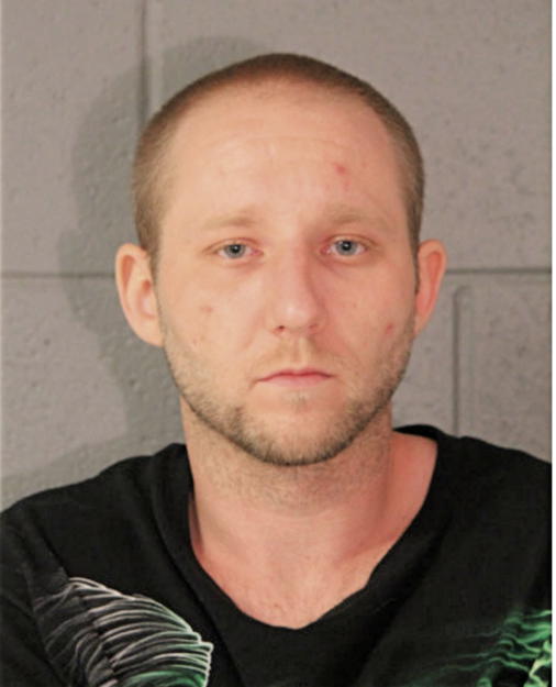 MATTHEW M GREEN, Cook County, Illinois