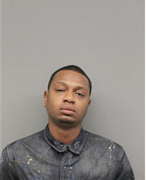 CHISTOPHER A HAMILTON, Cook County, Illinois