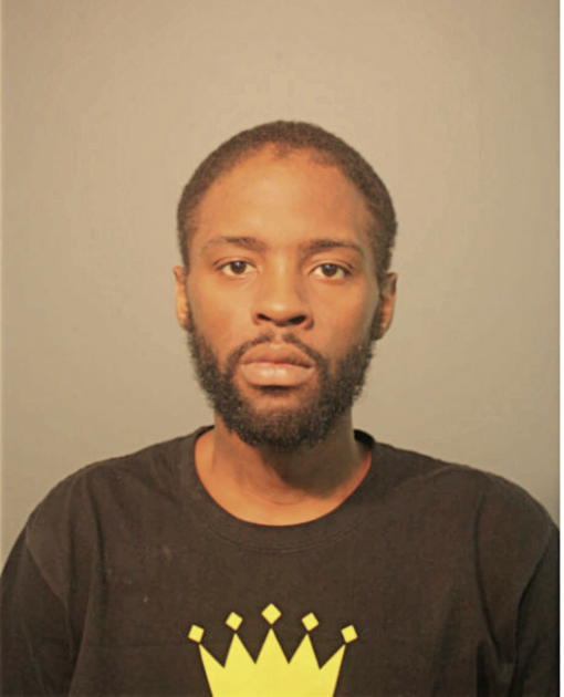 ANTHONY D JOHNSON, Cook County, Illinois