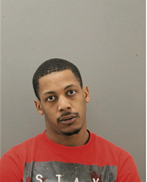 ARTESE L JOHNSON, Cook County, Illinois
