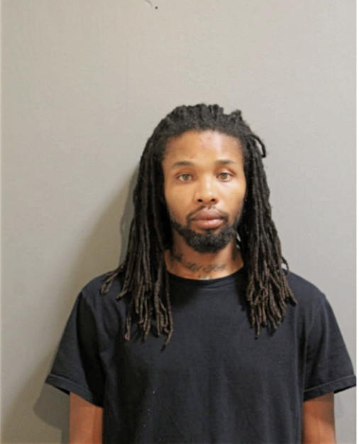 KRISTOPHER D LEWIS, Cook County, Illinois