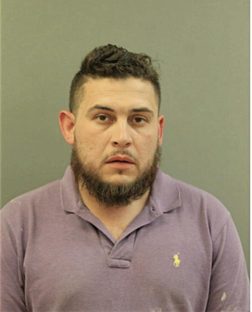 JUAN C MARTINEZ, Cook County, Illinois