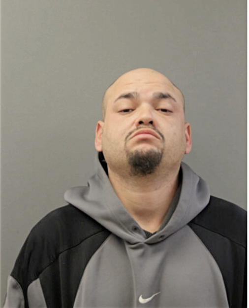 LOUIS F MARTINEZ-VELEZ, Cook County, Illinois
