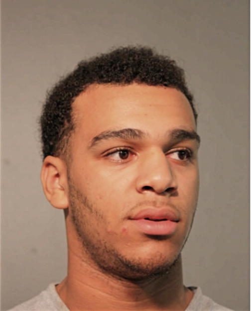 BRYCE K MCGILL, Cook County, Illinois