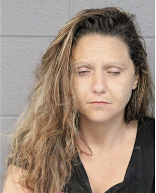 LISA MCGUIRE, Cook County, Illinois