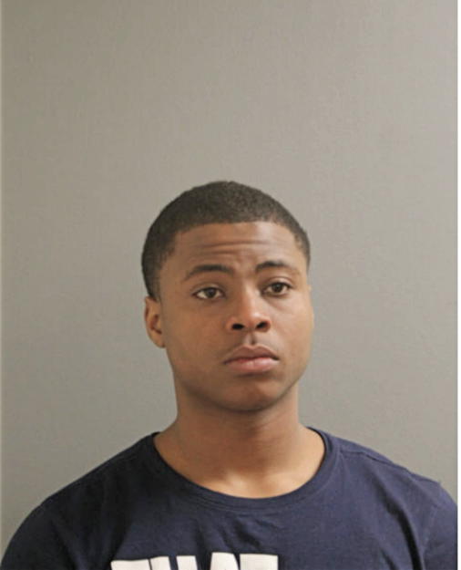 MARIO T MORGAN, Cook County, Illinois
