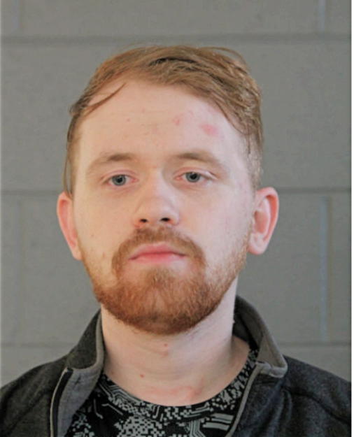 MATTHEW R NELSON, Cook County, Illinois