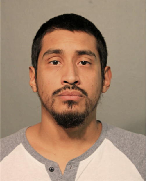ELMER O PEREZ, Cook County, Illinois
